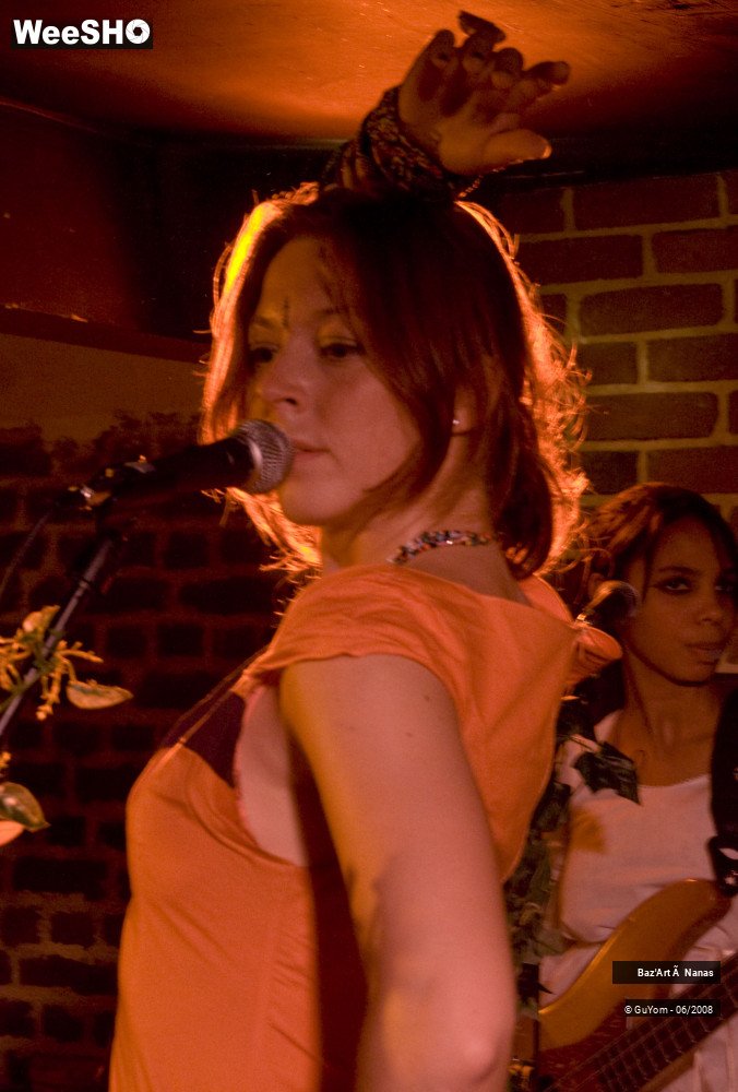 8/35 photos du spectacle Baz'Art à Nanas